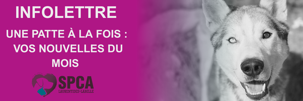 Vos nouvelles du mois de janvier 2026